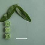eco friendly lIfestyle