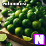 calamansi