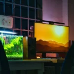 Preparing Your Home for a Saltwater Aquarium: What You Need to Know