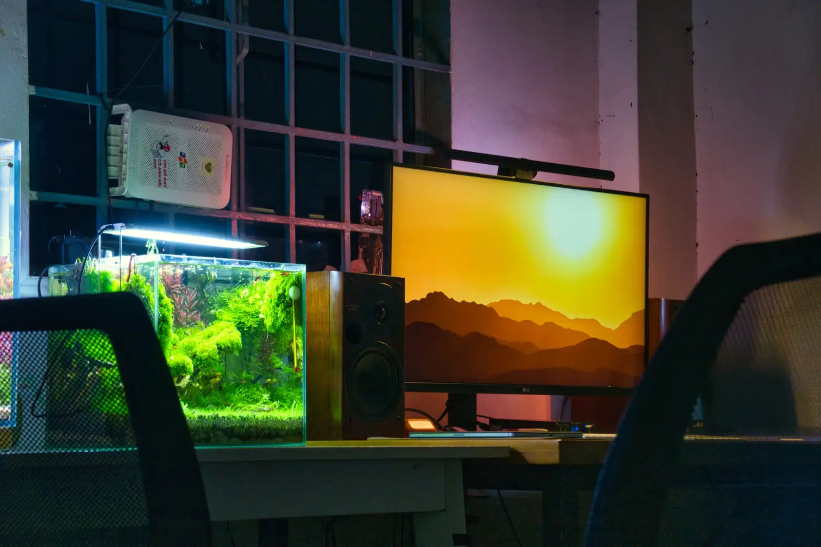 Preparing Your Home for a Saltwater Aquarium: What You Need to Know