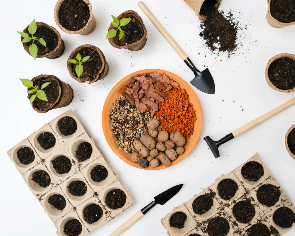 Germinatoire