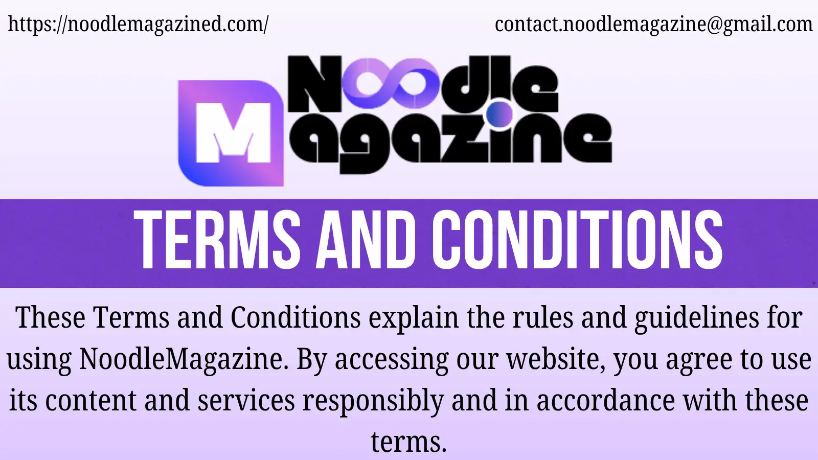 Terms and Conditions NoodleMagazine